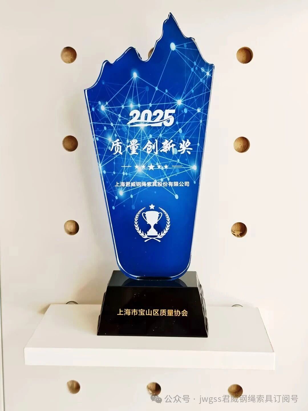 2025 质量创新奖 2025 质量创新奖